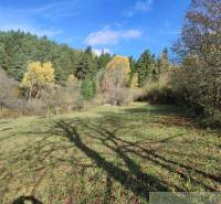 Verschiedene Bäume und grünes Gras in den Gärten bei Hlboké nad Váhom unter blauem Himmel.