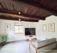 Helles Wohnzimmer in einem Einfamilienhaus mit Holzbalkendecke, Fernseher und Pflanze in der Ecke.