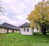 Ein Einfamilienhaus in Senohrad mit einem Baum mit gelben Blättern an einem regnerischen Tag.