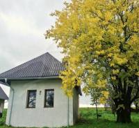 Ein Einfamilienhaus in Senohrad bei Bäumen mit buntem Laub auf einer grünen Wiese.