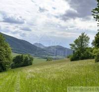 Landschaft in Sološnica mit Wiese und Wald, umgeben von Hügeln unter einer wolkigen Himmel.