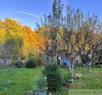 Herbstgarten bei der Hütte in Sološnica mit bunten Bäumen und einer Bank.