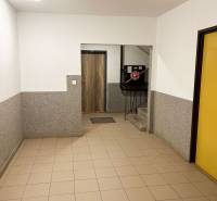 Eingangshalle mit Fliesen und Treppen in einem Wohngebäude.