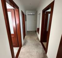 Ein Flur in einem Einfamilienhaus mit weißen Wänden, Teppichboden und Holzrahmen.