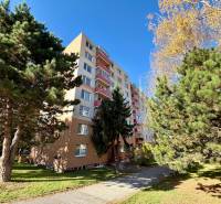 Ein Wohnhaus in der Hviezdoslavova-Straße in Senica, umgeben von Grünflächen und Bäumen.