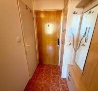 Eingangsbereich einer Einzimmerwohnung mit Holzdekorverkleidung und Fliesenboden.