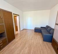 Wohnzimmer in einer Einzimmerwohnung mit Holzboden, Sofa und Schränken.