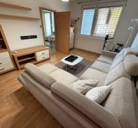 Wohnzimmer in einer 3-Zimmer-Wohnung mit einem Sofa und einem Boden in Holzoptik.