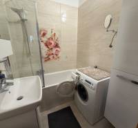 Badezimmer mit Blumendekoration in einer 3-Zimmer-Wohnung, Waschmaschine neben der Badewanne.