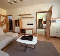 Wohnzimmer in einer 3-Zimmer-Wohnung mit einem Sofa und einem Boden in Holzoptik.