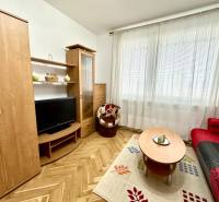 Einzimmerwohnung mit Fernseher, rotem Sofa und Boden in Holzoptik.