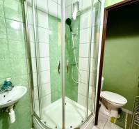 Badezimmer in einem Studio-Apartment mit einer Eckdusche, einem Waschbecken und weißen Fliesen.