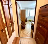 Einzimmerwohnung mit Flur und Holzboden, Blick in den Hauptraum.