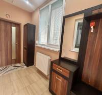 Der Flur einer Einzimmerwohnung mit einem Boden in Holzoptik und Möbeln an der Wand.