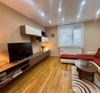 Wohnzimmer in einer Einzimmerwohnung mit Fernseher, Sofa und Holzboden.