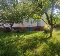 Der Garten beim Einfamilienhaus in der Straße Vieska in Radošovce. Grünes Gras und Bäume.
