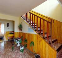 Ein Flur mit Holzvertäfelung, Treppe und Zimmerpflanzen in einem Einfamilienhaus.