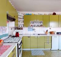 Küche in einem Einfamilienhaus mit olivgrünen Schränken, Geräten und Regalen mit Tassen.