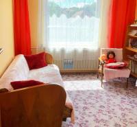 Ein Zimmer in einem Einfamilienhaus mit einem Blumenmusterteppich, einem Sofa und Regalen.