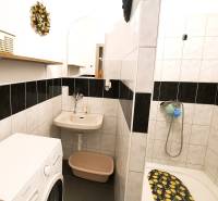 Badezimmer mit Waschmaschine, Dusche und Waschbecken in einer 2-Zimmer-Wohnung.