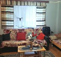 Wohnzimmer in einer Zweizimmerwohnung mit gemusterten Sofas und Holzboden.