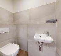 Badezimmer mit Toilette und Waschbecken in einer 2-Zimmer-Wohnung, minimalistisches Design.