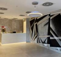 Empfangsbereich des Gebäudes mit künstlerischer Dekoration, Blumen und Designbeleuchtung.