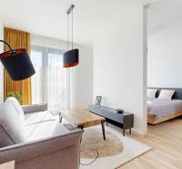 Wohnzimmer mit Sofa und Lampe, grenzt an das Schlafzimmer; 2-Zimmer-Wohnung, Boden mit Holzdekor.