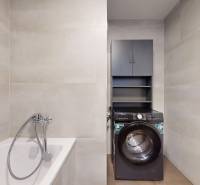 Badezimmer mit Badewanne und Waschmaschine in einer 2-Zimmer-Wohnung.