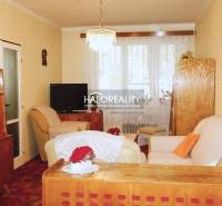 Wohnzimmer in einer 3-Zimmer-Wohnung, Boden mit Holzdekor, Holzmöbel, gemütliche Sessel.