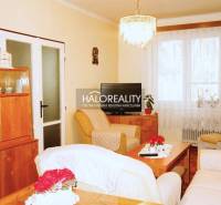 Wohnzimmer mit Möbeln und Dekorationen in einer 3-Zimmer-Wohnung, Boden mit Holzdekor.