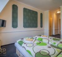 Ein Zimmer in Hotels und Pensionen mit zwei Betten, einem Fernseher und Blumen auf dem Tisch.