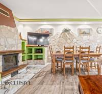 Innenraum eines Einfamilienhauses mit Kamin, Steinwand, Esstisch und Boden in Holzoptik.