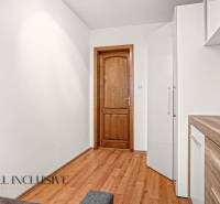 Innenraum eines Einfamilienhauses mit Holzboden und Holztüren.