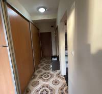 Ein schmaler Flur in einer Einzimmerwohnung mit auffälligen Fliesen und Schiebetüren.