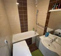 Badezimmer in einer Einzimmerwohnung mit Badewanne, Waschmaschine und Waschbecken, ergänzt durch ein Regal.