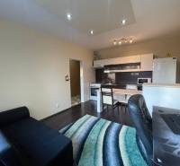 Innenraum einer 1-Zimmer-Wohnung mit Kochnische und Holzboden.