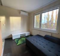 Ein Zimmer in einer Einzimmerwohnung mit einem Sofa, einem grünen Teppich und einem Boden in Holzoptik.