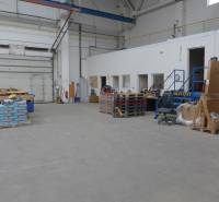 Innenraum eines Lagers mit hohen Decken, Falttoren und verschiedenen Waren auf Paletten.