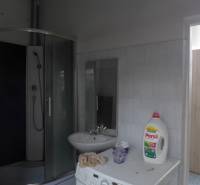 Badezimmer mit Waschmaschine, Duschkabine und Waschmitteln.