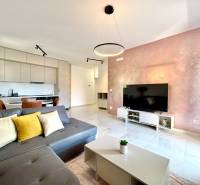 Wohnzimmer in einer Einzimmerwohnung mit Küche, grauem Sofa, Fernseher und Essbereich.