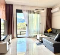 Wohnzimmer in einer Einzimmerwohnung mit Ledersofa, Fernseher und Blick auf die Berge.