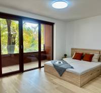 1-Zimmer-Wohnung mit großen Fenstern, Holzboden, Balkon und Bett.