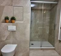 Badezimmer in einer Einzimmerwohnung mit Toilette, Duschkabine und lebenden Pflanzen in Körben.