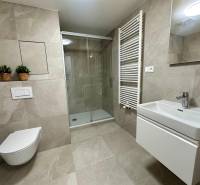 Badezimmer in einer Einzimmerwohnung mit Toilette, Dusche und modernem Waschbecken.