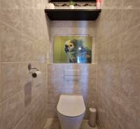 Toilette mit gefliesten Wänden, einem Papageienbild und Regalen in einer 3-Zimmer-Wohnung.