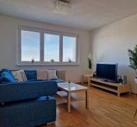 Wohnzimmer in einer 3-Zimmer-Wohnung mit einem blauen Sofa, einem Fernseher und einem Boden in Holzoptik.