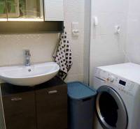 Badezimmer in einer Einzimmerwohnung mit Spiegelschrank, Waschbecken und Waschmaschine.