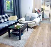 Wohnzimmer in einer Einzimmerwohnung mit Holzboden und bequemen Sitzgelegenheiten.