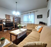 Wohnzimmer mit Ecksofa, Holzboden-Dekor und Zimmerpflanze.